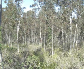 Rural / Farming commercial property sold at Lot 80 Donald Road Clarence NSW 2790