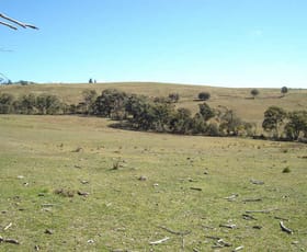 Rural / Farming commercial property sold at Lot 4 Thompsons Creek Road Pipers Flat NSW 2847