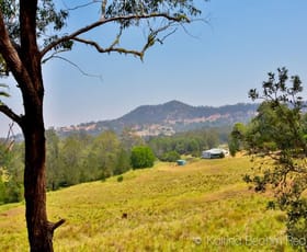Rural / Farming commercial property sold at 764 Cawongla Road Larnook NSW 2480
