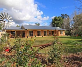 Rural / Farming commercial property sold at 162 Corndale Road Bexhill NSW 2480