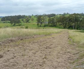 Rural / Farming commercial property sold at Orangeville NSW 2570