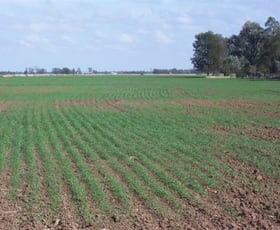 Rural / Farming commercial property sold at Hannaford QLD 4406 Rural / Farming commercial property sold at Hannaford QLD 4406