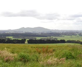 Rural / Farming commercial property sold at 305 Vaggs Road Naroghid VIC 3266