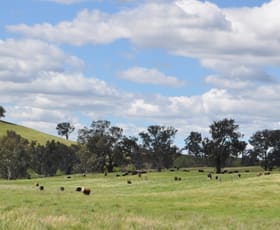 Rural / Farming commercial property sold at 546 Humula Road Humula NSW 2652