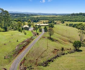 Rural / Farming commercial property sold at 445 Sneaths Road Alstonvale NSW 2477