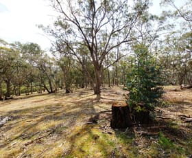 Rural / Farming commercial property sold at 3/359 Limestone Road(off Casley Lane) Guildford VIC 3451