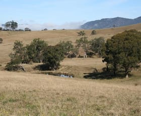 Rural / Farming commercial property sold at 1819 Gresford Road East Gresford NSW 2311
