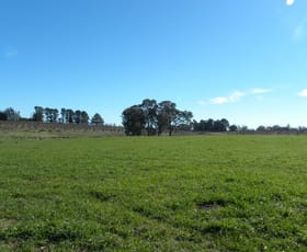Rural / Farming commercial property sold at 2/ Pine Road Young NSW 2594