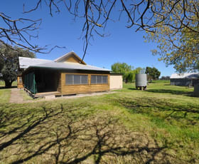 Rural / Farming commercial property sold at 91 Tip Road Holbrook NSW 2644