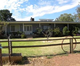 Rural / Farming commercial property sold at 275 Henry Lawson Way Young NSW 2594