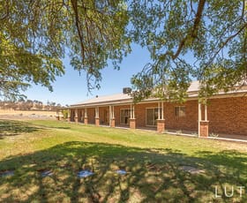 Rural / Farming commercial property sold at 149 Wallaroo Road Hall ACT 2618