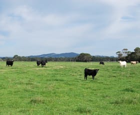 Rural / Farming commercial property sold at 330 Lower Franklin Road Foster VIC 3960