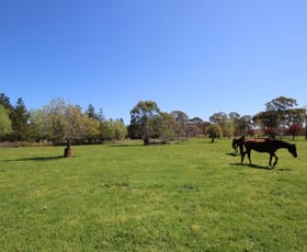 Rural / Farming commercial property sold at 100 Shale Lane High Range NSW 2575
