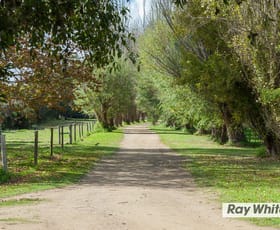 Rural / Farming commercial property sold at 45 Sandy Road Fingal VIC 3939