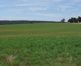 Rural / Farming commercial property sold at 90 Sunset Hills Road Blayney NSW 2799