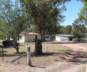 Rural / Farming commercial property sold at Elsmore NSW 2360