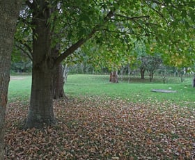 Rural / Farming commercial property sold at 299 Riddles Brush Road Johns River NSW 2443