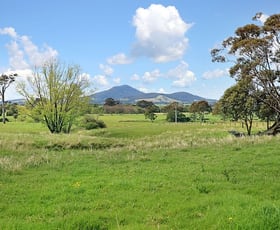 Rural / Farming commercial property sold at 202 Bells Lane Meroo Meadow NSW 2540