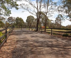 Rural / Farming commercial property sold at 375 Wilton Park Road Wilton NSW 2571