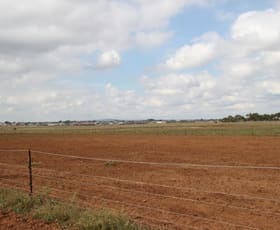 Rural / Farming commercial property sold at 397-435 Harkness Road Melton West VIC 3337
