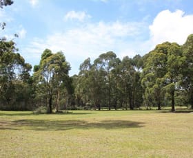 Rural / Farming commercial property sold at 406a Turpentine Rd Tomerong NSW 2540