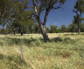 Rural / Farming commercial property sold at - Bindebango Bollon QLD 4488