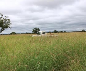 Rural / Farming commercial property sold at Roma QLD 4455