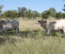 Rural / Farming commercial property sold at Roma QLD 4455