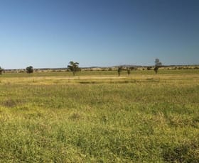 Rural / Farming commercial property sold at - Amaroo Roma QLD 4455