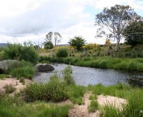 Rural / Farming commercial property sold at 4687 Cooma Rd Braidwood NSW 2622