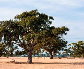 Rural / Farming commercial property sold at 145 Waltons Road Buckley VIC 3240