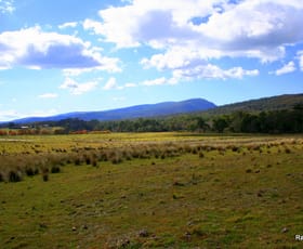 Rural / Farming commercial property sold at 3940 Cooma Rd Braidwood NSW 2622