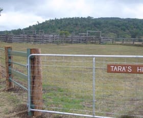 Rural / Farming commercial property sold at 426 acres Cooranga North Bell QLD 4408 Rural / Farming commercial property sold at 426 acres Cooranga North Bell QLD 4408