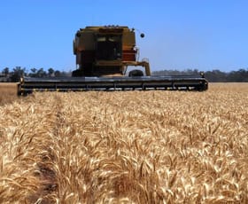 Rural / Farming commercial property sold at R. P. Descripti RP 13923 , Meandarra Meandarra QLD 4422 Rural / Farming commercial property sold at R. P. Descripti RP 13923 , Meandarra Meandarra QLD 4422