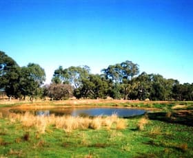 Rural / Farming commercial property sold at LOT 3 CNR. RILENS ROAD & WALMER - MUCKLEFORD ROAD Muckleford VIC 3451