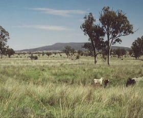 Rural / Farming commercial property sold at Injune QLD 4454 Rural / Farming commercial property sold at Injune QLD 4454