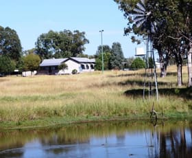 Rural / Farming commercial property sold at Injune QLD 4454
