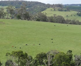 Rural / Farming commercial property sold at 39 McAlpine Rd Carrajung VIC 3844