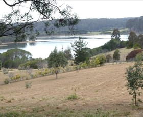 Rural / Farming commercial property sold at 291 Head of Cuttagee Road Bermagui NSW 2546