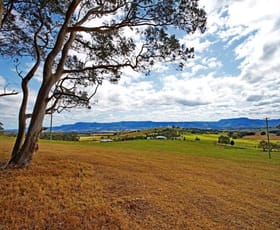 Rural / Farming commercial property sold at 225 Bryces Road Berry NSW 2535