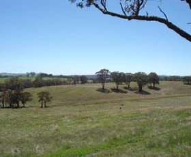 Rural / Farming commercial property sold at 1694 Carcoar Road Carcoar NSW 2791