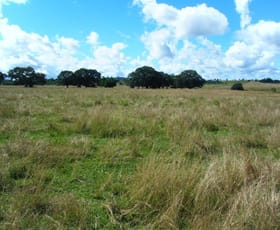 Rural / Farming commercial property sold at 1205 Rogersons Rd Mckees Hill NSW 2480