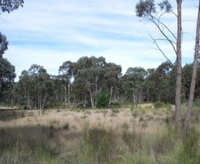 Rural / Farming commercial property sold at 4584 Castlereagh Highway Capertee NSW 2846