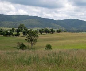 Rural / Farming commercial property sold at 1721 Mount View Road Millfield NSW 2325