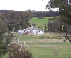 Rural / Farming commercial property sold at 1784 Golspie Road Golspie NSW 2580