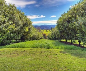 Rural / Farming commercial property sold at 193 The Channon Rd The Channon NSW 2480