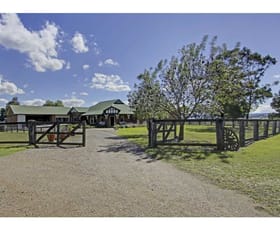 Rural / Farming commercial property sold at 135 Windemere Road Lochinvar NSW 2321