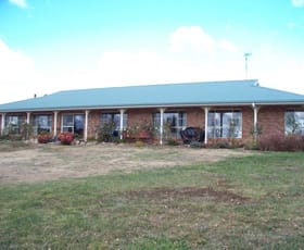 Rural / Farming commercial property sold at 491 Back Cullen Road Portland NSW 2847