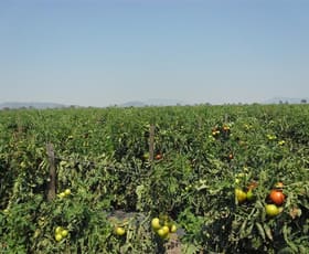 Rural / Farming commercial property sold at Collinsvile Road Bowen QLD 4805