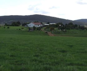 Rural / Farming commercial property sold at 2610 Currawang Road Currawang NSW 2580
